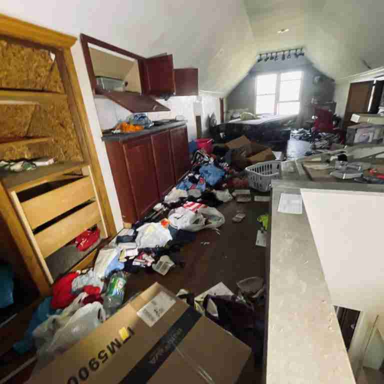 20506 Cardoni (51).jpg